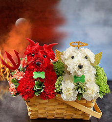 Devil Dog Angel Dog Flower Power, Florist Davenport FL